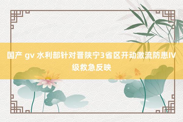 国产 gv 水利部针对晋陕宁3省区开动激流防患Ⅳ级救急反映