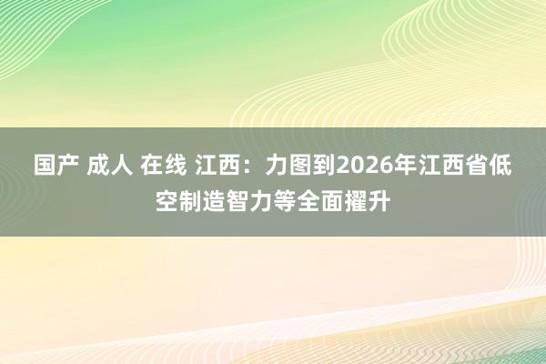 国产 成人 在线 江西：力图到2026年江西省低空制造智力等全面擢升