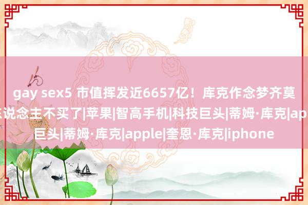 gay sex5 市值挥发近6657亿！库克作念梦齐莫得预见，外媒：中国东说念主不买了|苹果|智高手机|科技巨头|蒂姆·库克|apple|奎恩·库克|iphone