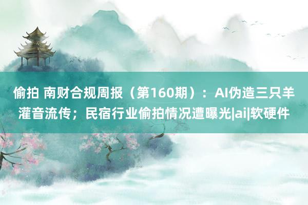 偷拍 南财合规周报（第160期）：AI伪造三只羊灌音流传；民宿行业偷拍情况遭曝光|ai|软硬件