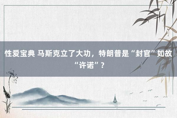 性爱宝典 马斯克立了大功，特朗普是“封官”如故“许诺”？